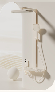 Shower Set