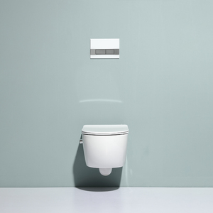 Wall Hung Toilet