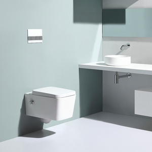 Wall Hung Toilet