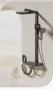 Shower Set