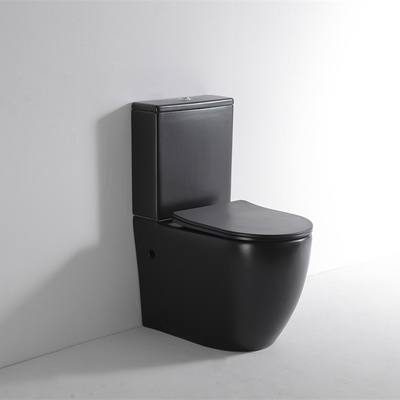 Two Pieces Toilet