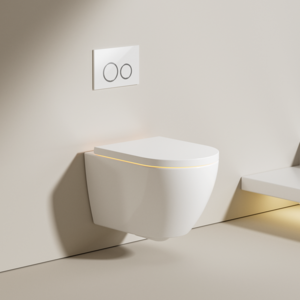 Wall Hung Toilet