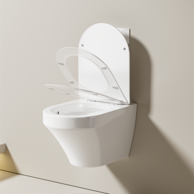 Wall Hung Toilet