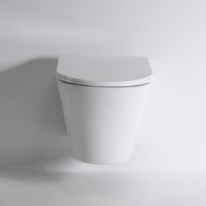 Wall Hung Toilet