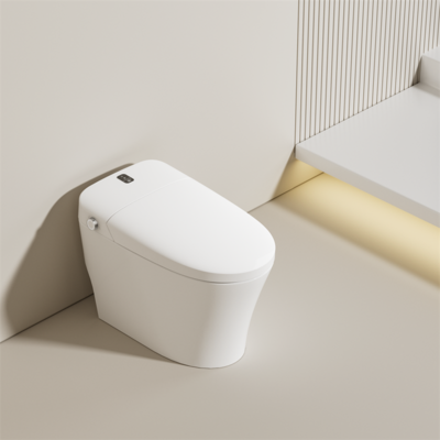 Smart Toilet