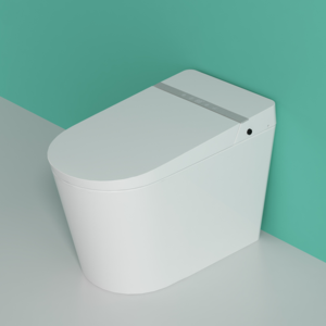 Smart Toilet