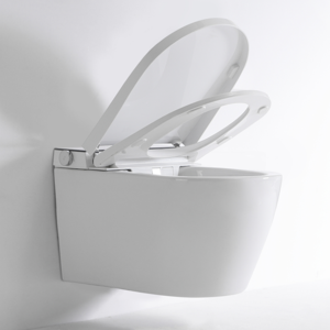 Smart Toilet