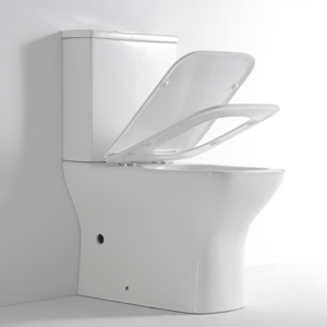 Two Pieces Toilet